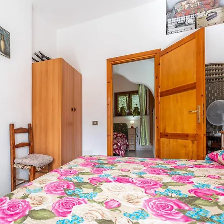 Alice וילסימיוס